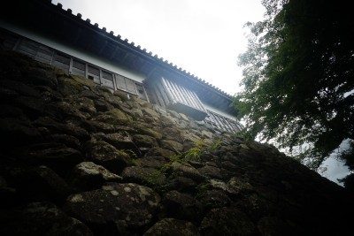 f:id:dik:20200815142035j:plain
