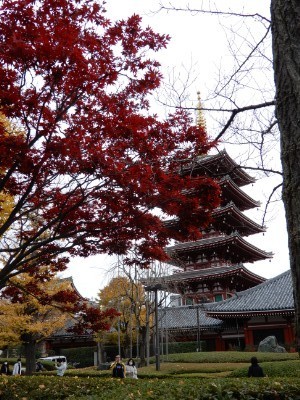 f:id:dik:20201228152120j:plain