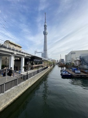 f:id:dik:20201228152745j:plain