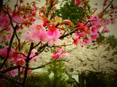 f:id:dik:20210415121949j:plain