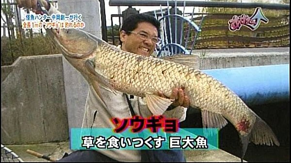 f:id:dikoku:20100416023506j:image:w280 f:id:dikoku:20100416023506j:image:w280
