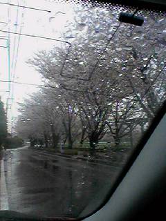 20060405142139