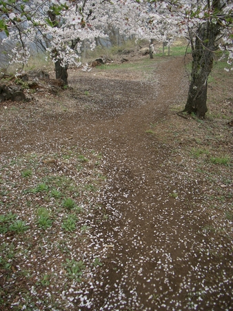 20060414122347