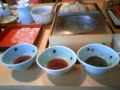 20091213124014