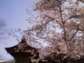 20100313091318