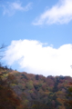 西沢渓谷（山梨）