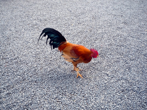 f:id:dimension2point5:20100405005603j:image