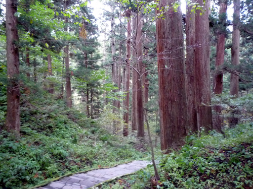 f:id:dimension2point5:20101102005921j:image