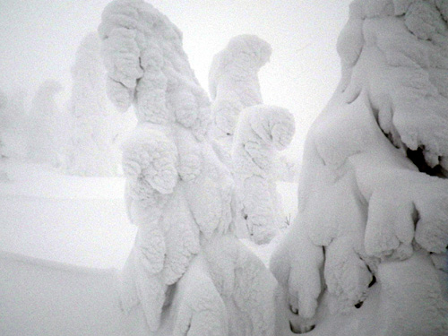 f:id:dimension2point5:20110131035754j:image