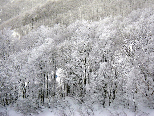 f:id:dimension2point5:20110131035756j:image