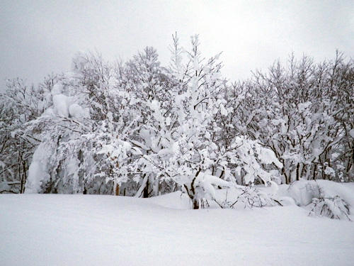 f:id:dimension2point5:20110131035758j:image