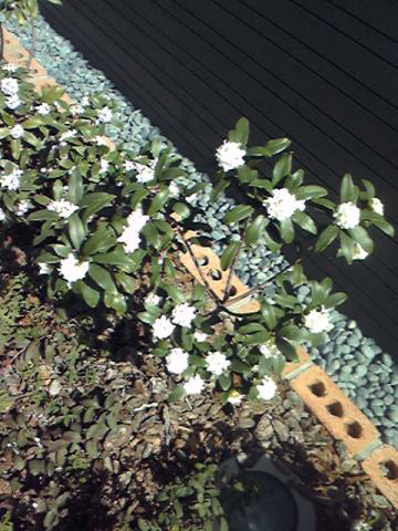 f:id:dimension2point5:20110319011404j:image