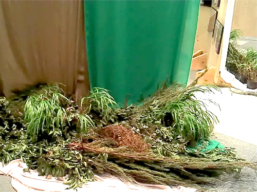 f:id:dimension2point5:20110901003656j:image f:id:dimension2point5:20110901003656j:image