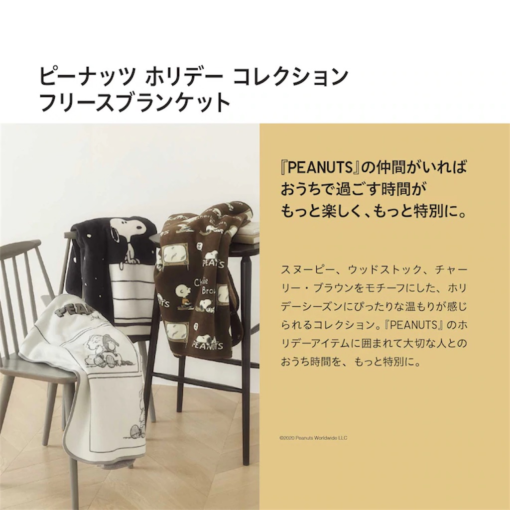 f:id:dingocurry:20201106071238j:image