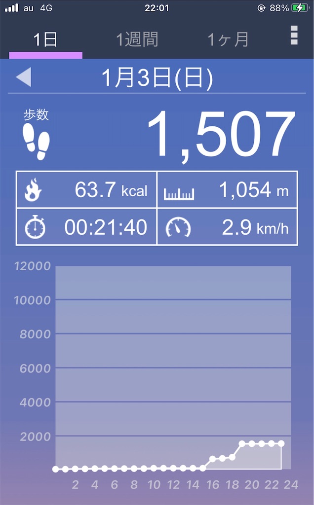 f:id:dingocurry:20210103220143j:plain