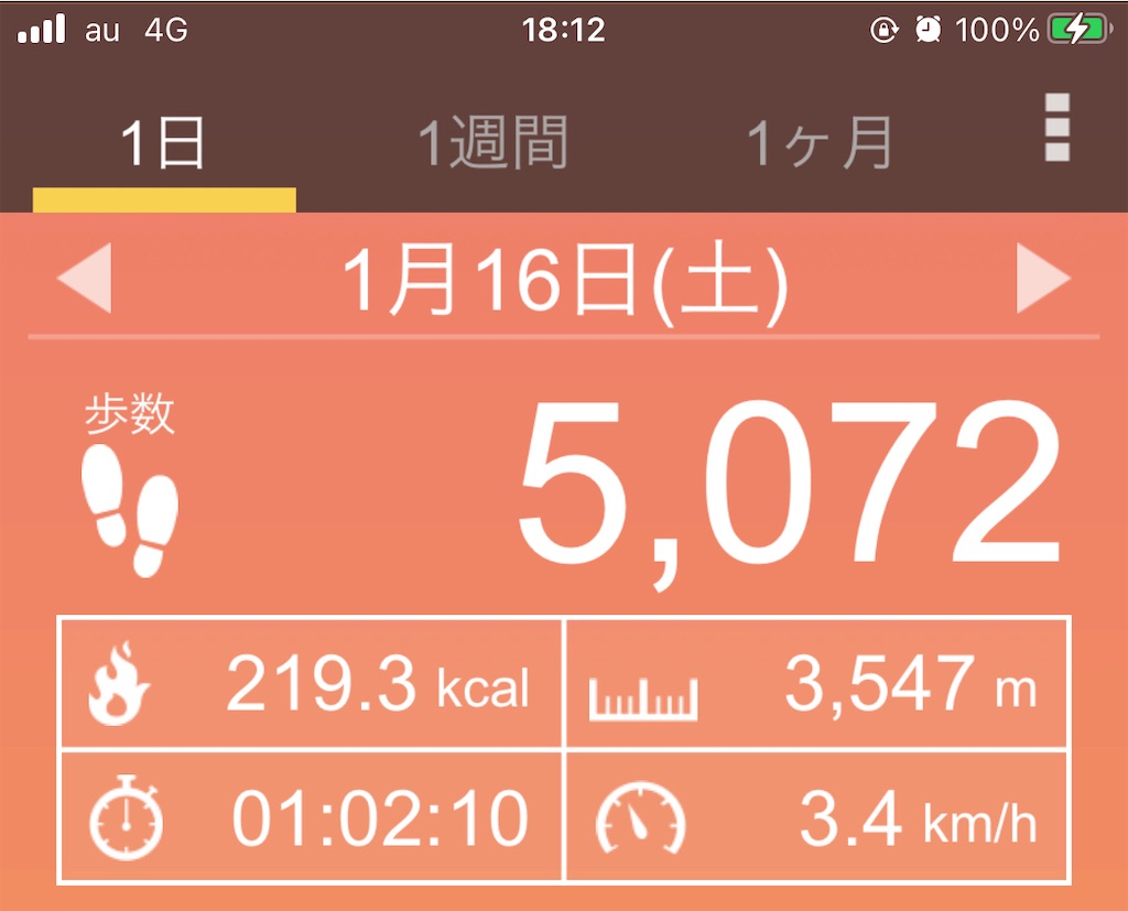 f:id:dingocurry:20210117181315j:image f:id:dingocurry:20210117181315j:image