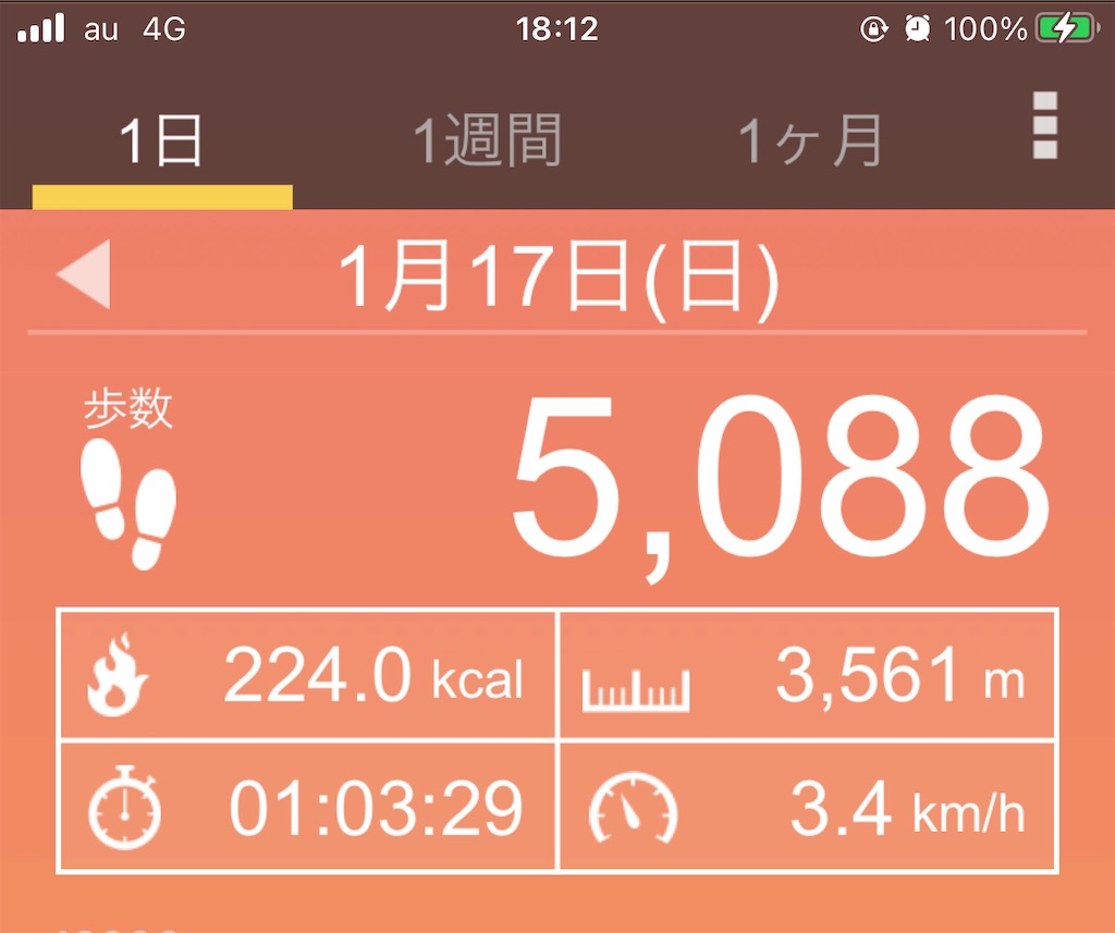 f:id:dingocurry:20210117181324j:image f:id:dingocurry:20210117181324j:image