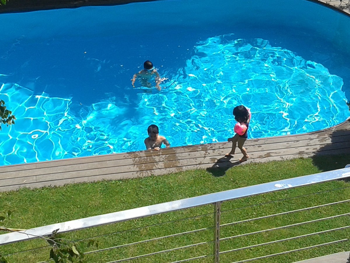 f:id:dinnye:20190611163714j:plain