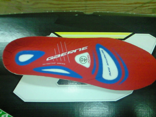 f:id:dinosaur_blog:20110511164859j:image