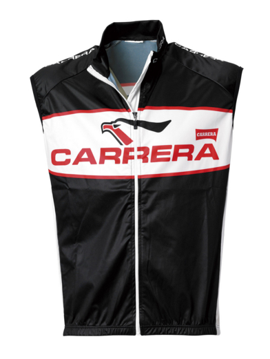 f:id:dinosaur_blog:20120413111633j:image