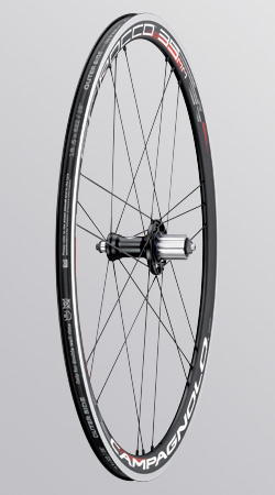 f:id:dinosaur_blog:20120808110227j:image