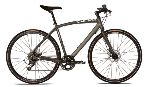 f:id:dinosaur_blog:20130207082905j:image