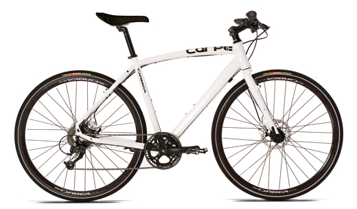 f:id:dinosaur_blog:20130207082906j:image