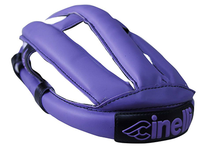 f:id:dinosaur_blog:20130215083147j:image:w300