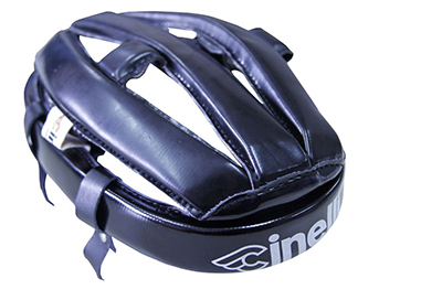 f:id:dinosaur_blog:20130215083148j:image:w360