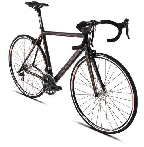 f:id:dinosaur_blog:20130220184250j:image