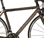 f:id:dinosaur_blog:20130220184251j:image