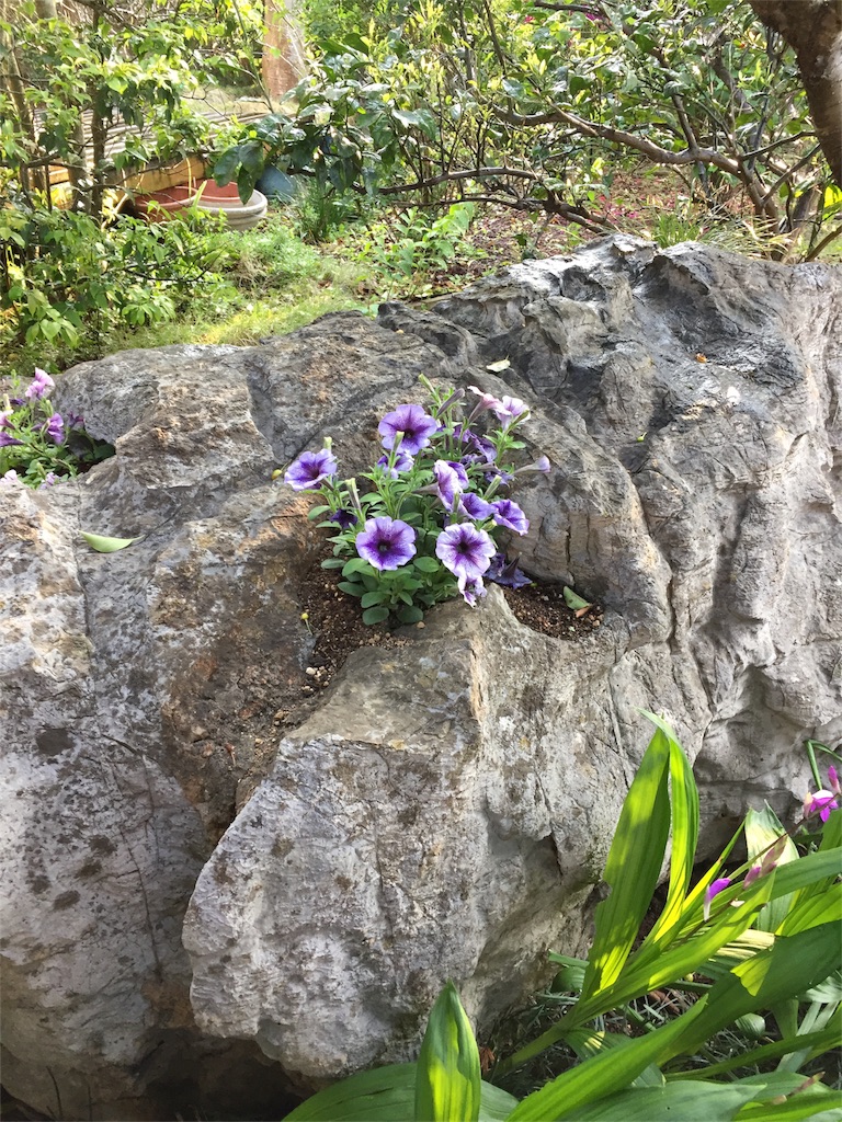 f:id:diobuccas22:20180429040423j:image