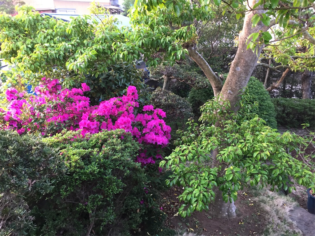 f:id:diobuccas22:20180505053707j:image