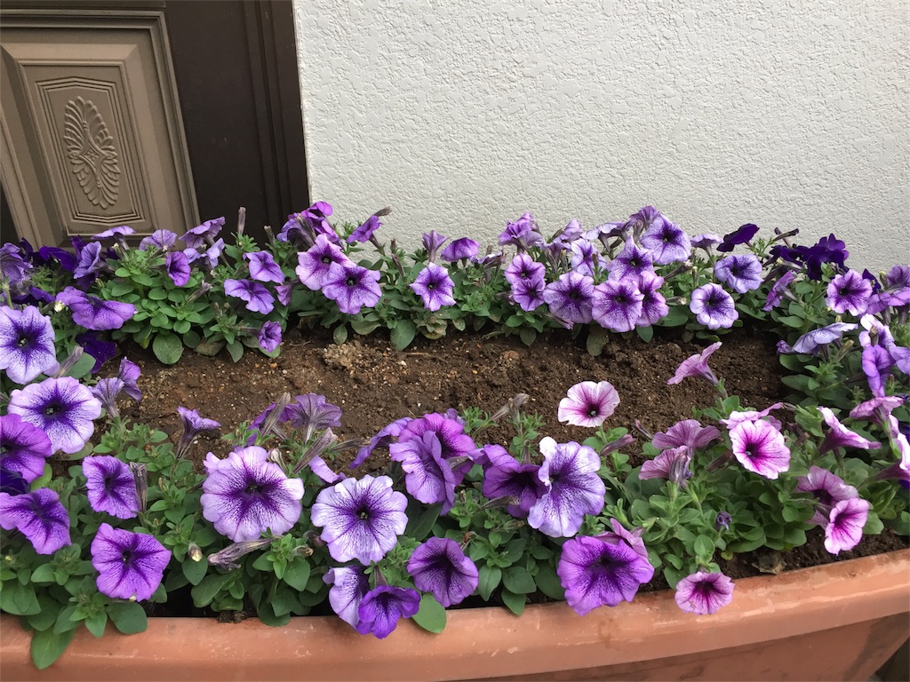f:id:diobuccas22:20180507135253j:image