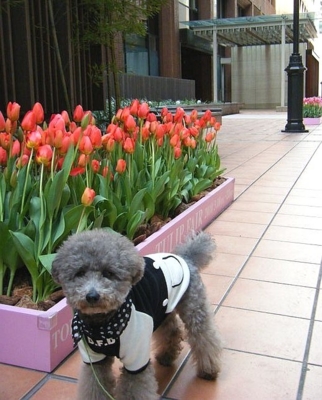 f:id:diomama99:20100322215124j:image:left