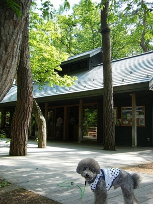 f:id:diomama99:20100618222816j:image:left