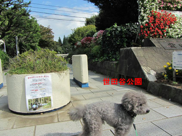 f:id:diomama99:20121113223022j:image:w360 f:id:diomama99:20121113223022j:image:w360