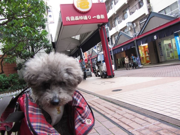 f:id:diomama99:20130426234734j:image:w360