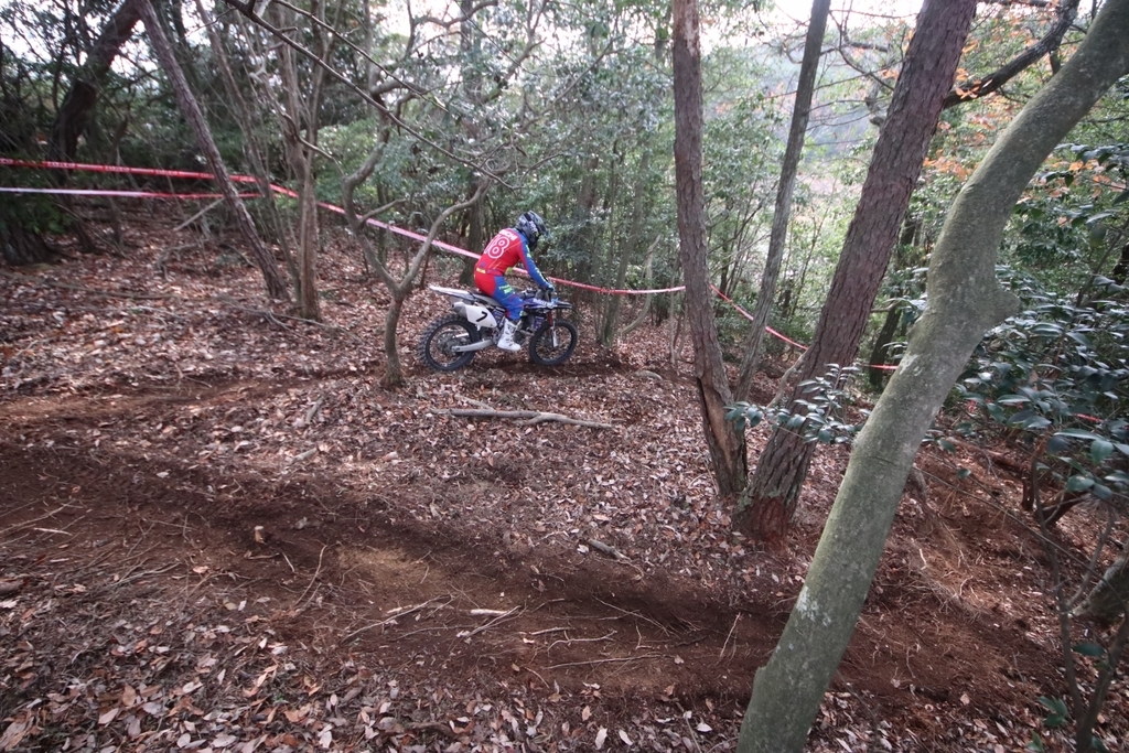 f:id:dirtrider-dcmx:20181128172620j:plain f:id:dirtrider-dcmx:20181128172620j:plain