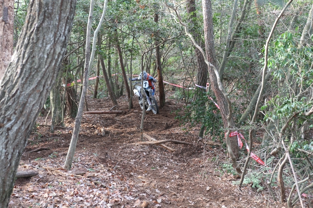 f:id:dirtrider-dcmx:20181128172733j:plain f:id:dirtrider-dcmx:20181128172733j:plain