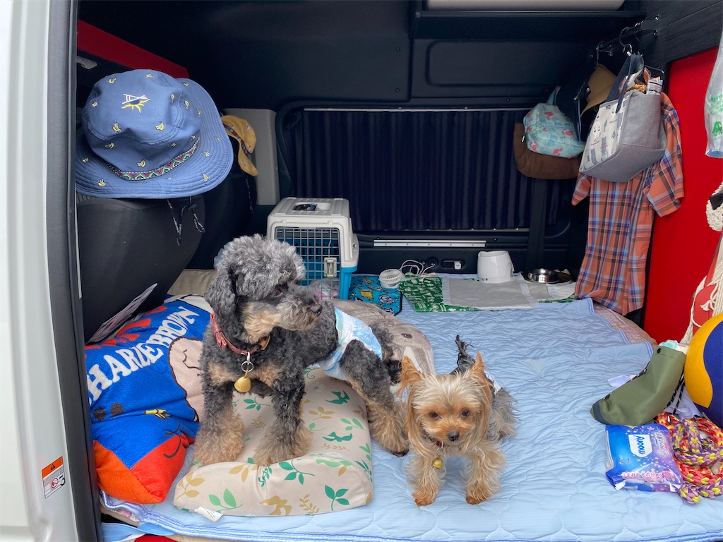 f:id:dirtrider-dcmx:20230903135517j:image