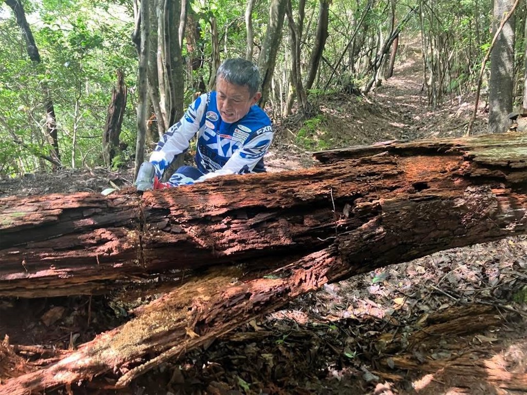 f:id:dirtrider-dcmx:20251006205246j:image f:id:dirtrider-dcmx:20251006205246j:image