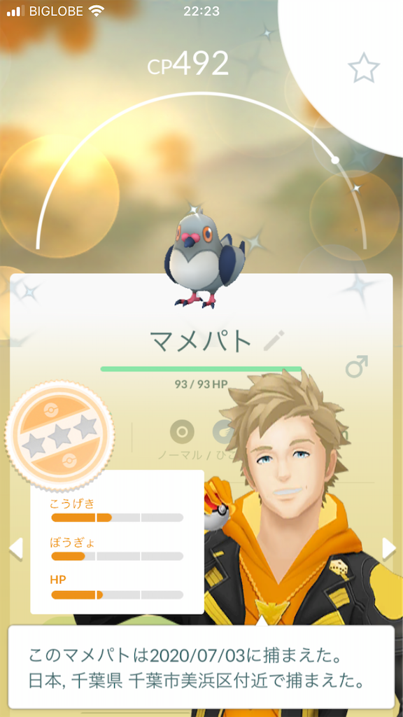 ゲット 色違いマメパト でぃすポケ