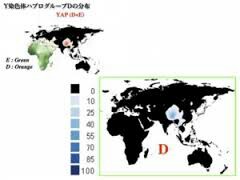 f:id:disa-japan:20161115060303j:image