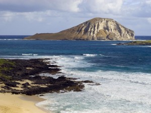 RabbitIsland