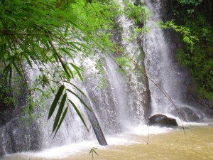 f:id:disaphi08:20170826081858j:plain Kbal Chhay