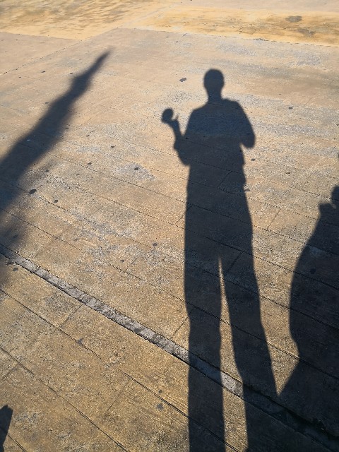 f:id:discimus:20181211213839j:image