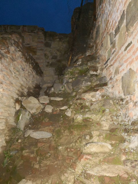 f:id:discimus:20181211225153j:image