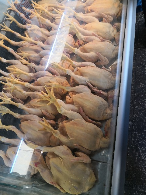 f:id:discimus:20181211231923j:image