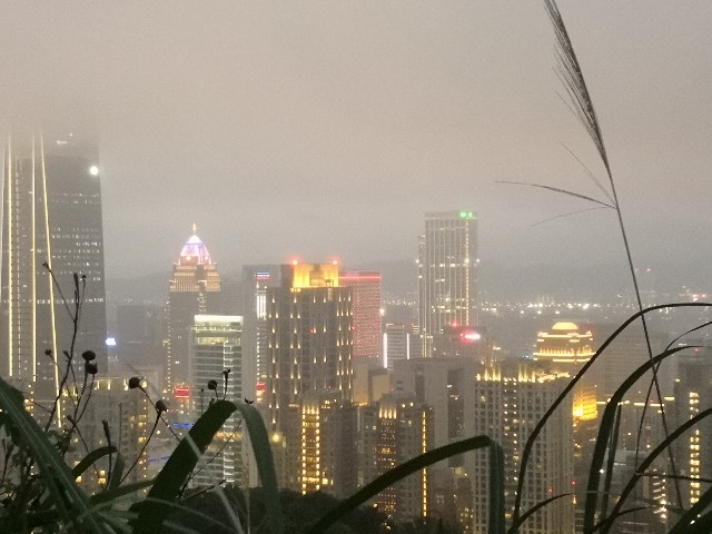 f:id:discimus:20190303013835j:image